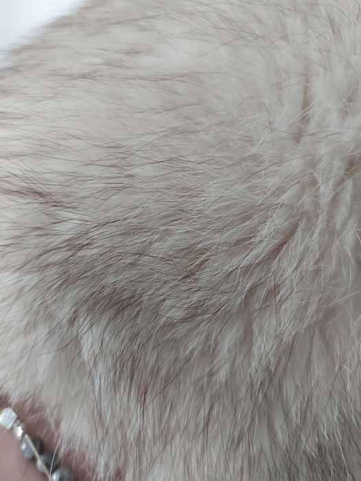 czapka z szalem-kołnierz