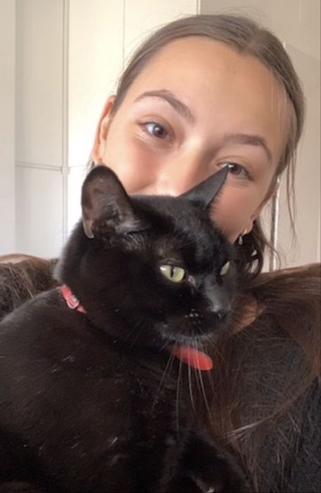 Petsitter - cuidados a animais ao domicilio