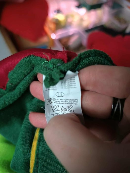 Strój karnawałowy, przebranie dinozaur 116