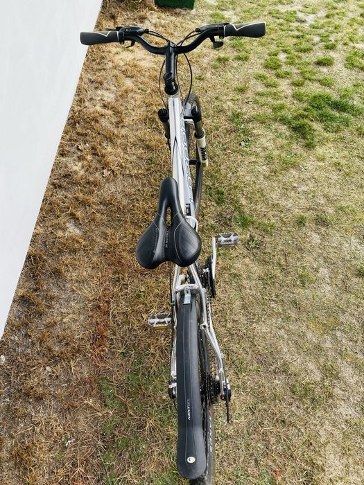 Rower Lazaro Evolution V