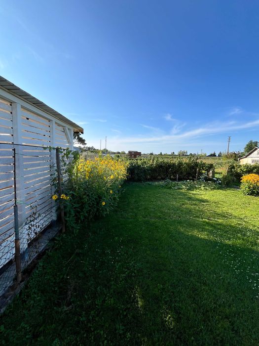 Działka ROD E. Gierczak 290m2