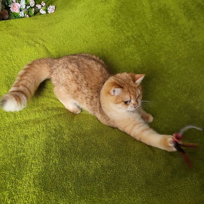 Мальчик -красавчик!