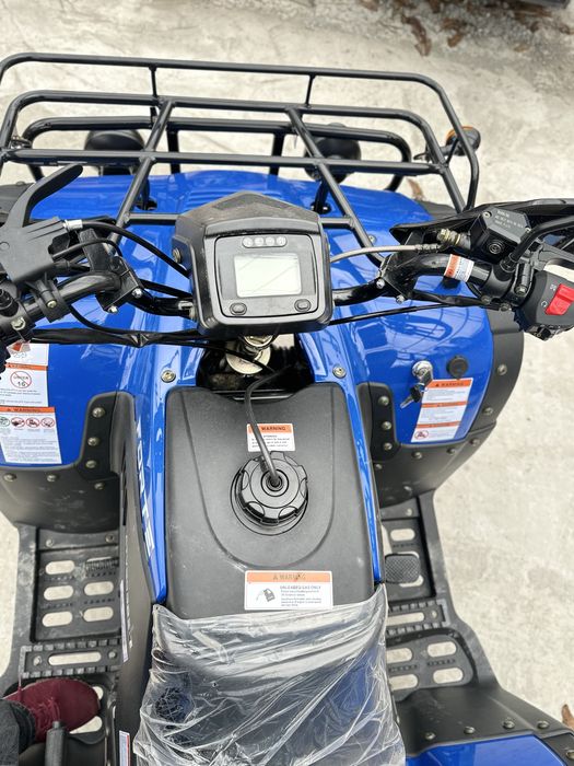 Вантажний квадроцикл Forte ATV300BS-T