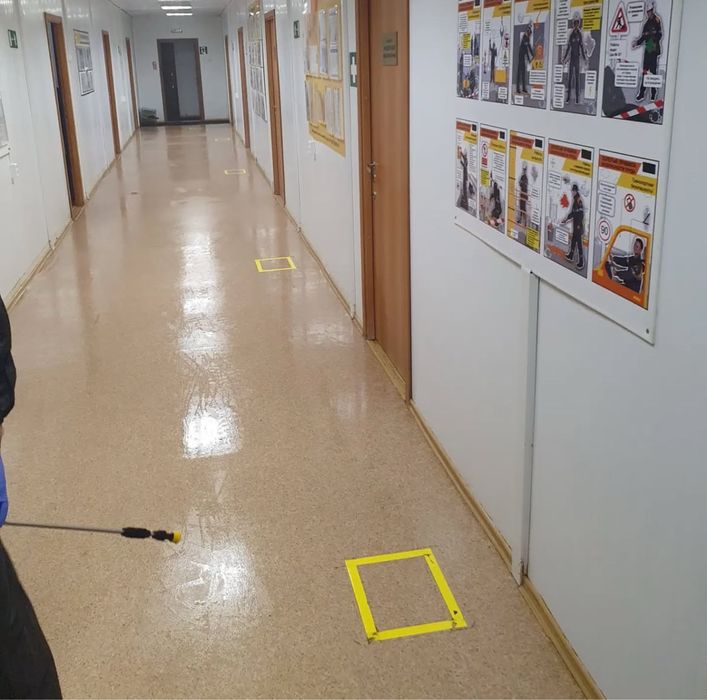 Травля блох клопов тараканов мышей крыс сколопендры. Удаление плесени