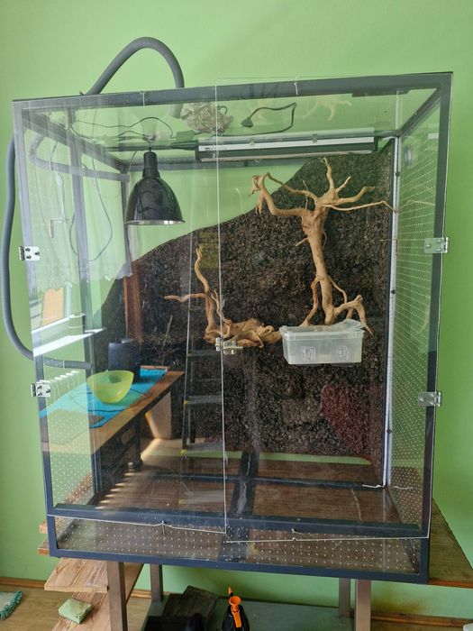 Terrarium  tropikalne D:70 SZ:100 W:120  + gratisy