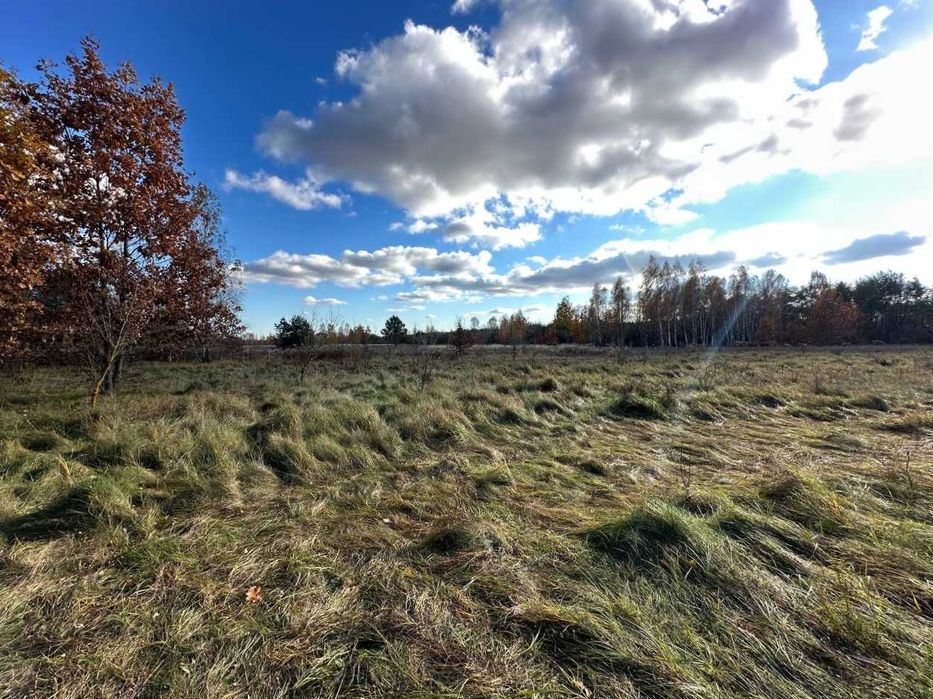 Продаж  ділянки 38,36сот.(25 сот під забудову+13,36ОСГ)Почепин.ID:732