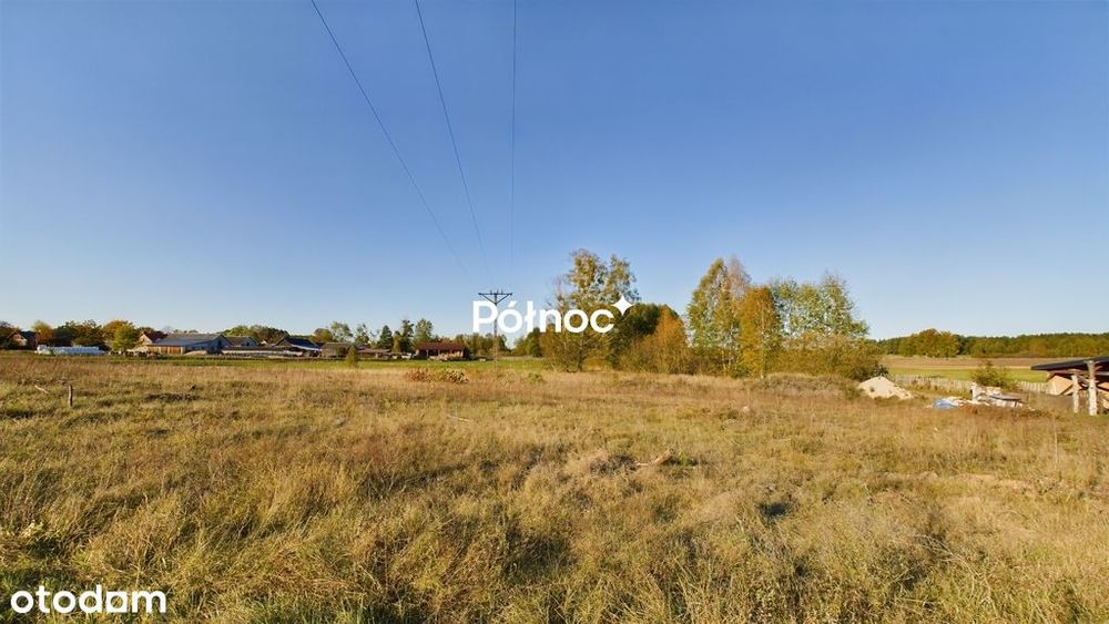 Zdjęcie 3