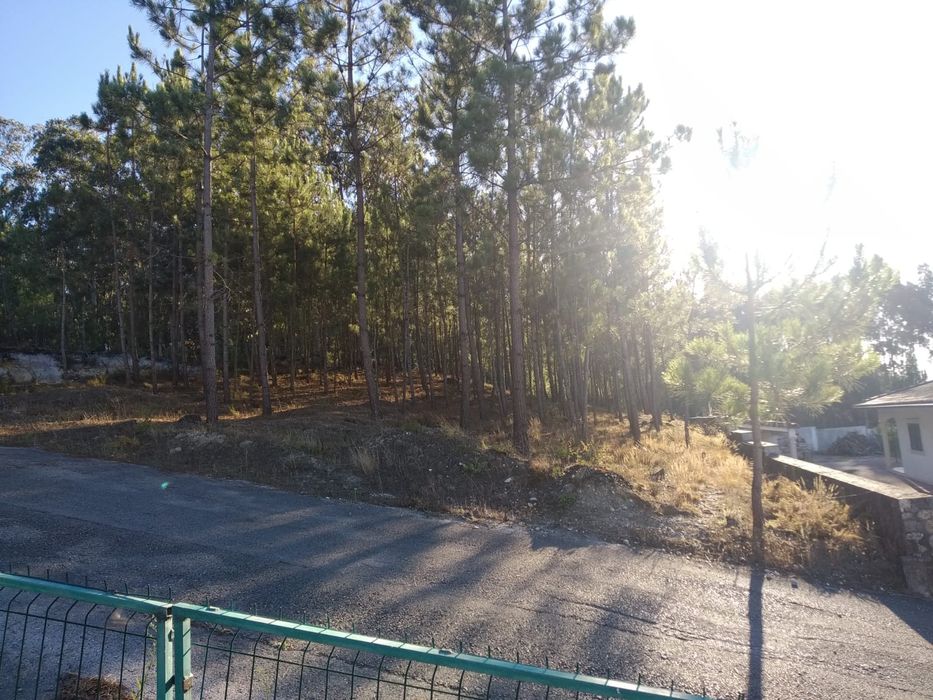 Venda de Terreno para construção aldeia de Barreiros a 7km de Leiria