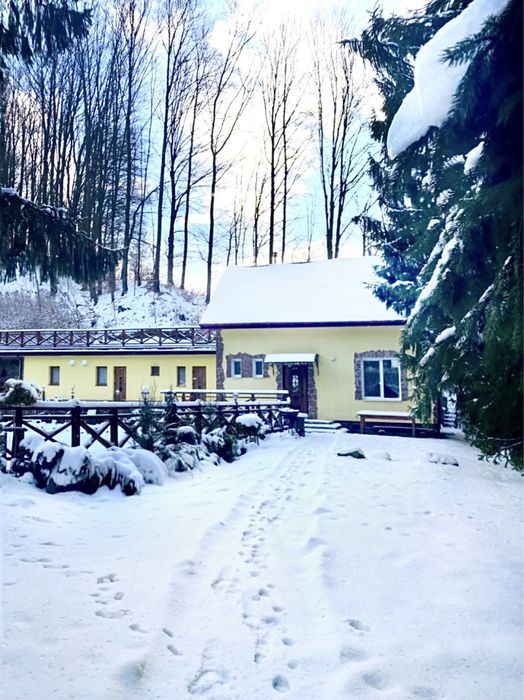 Подобово будинок в с. Шаян Закарпатье Карпати Велятино