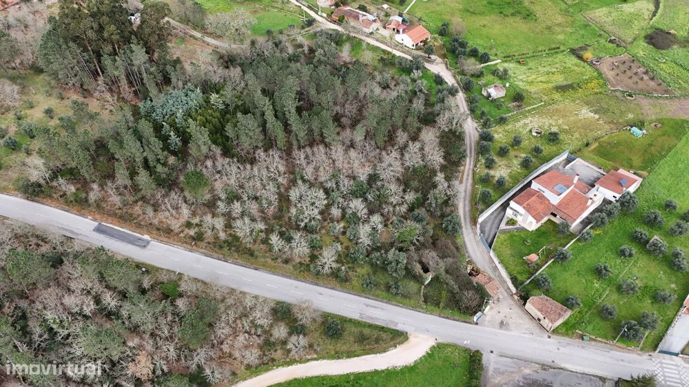 Terreno para construção com uma área de 14500 m2 — Ansião, Leiria