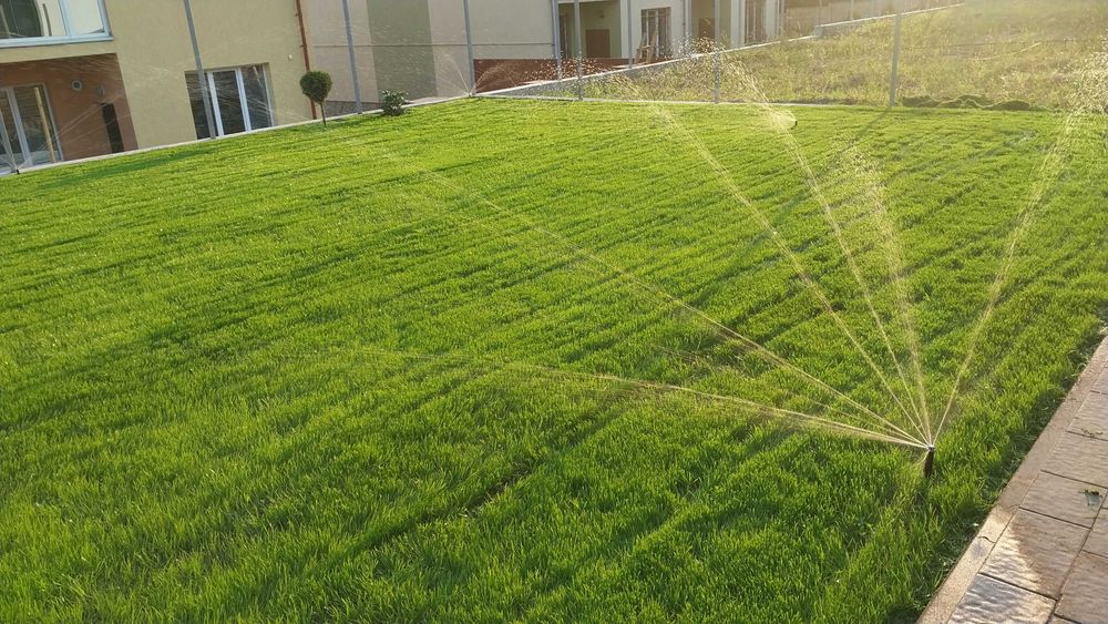 Рулонний газон, посів газону, автополив