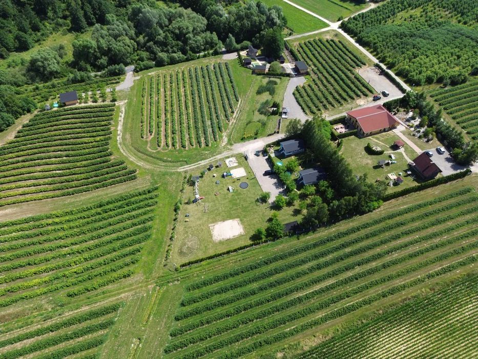 **Całoroczny Rajski Domek **2 domki po 6 osób*Bałtow**Wfi