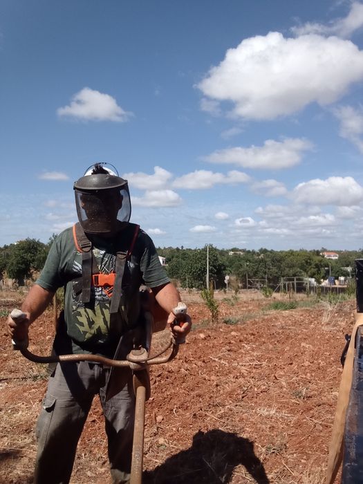 Limpeza terreno com roçadora