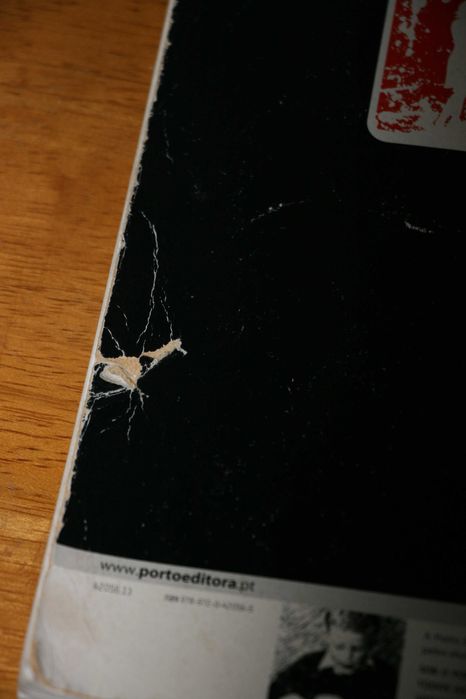 Manuais + Caderno Prático "Novo Espaço - 10º ano"