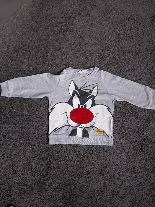 Cienka bluza dla chłopca