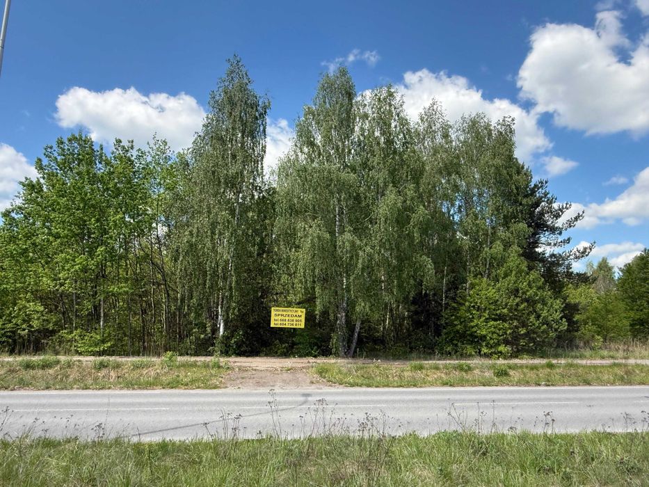 Działka inwestycyjna w centrum Szydłowca