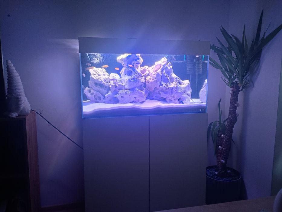 Akwarium aquael malawi