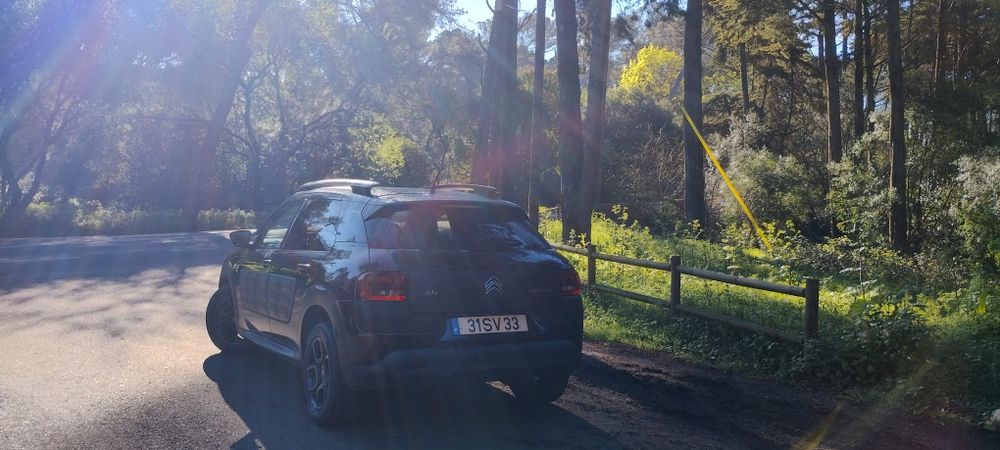 Citroen c4 cactus 1.6 HDI