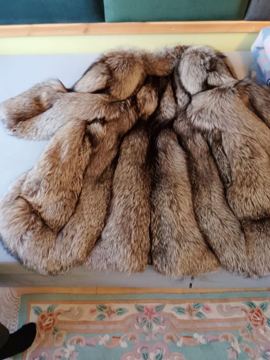 Futro ze srebnych lisów