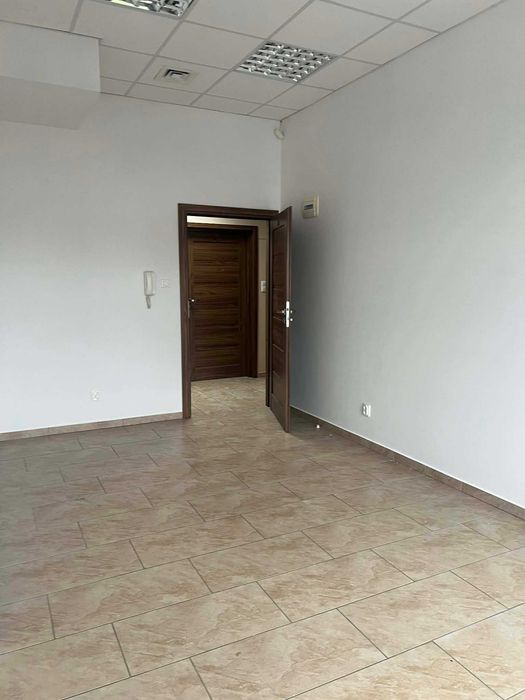 Lokale do wynajęcia