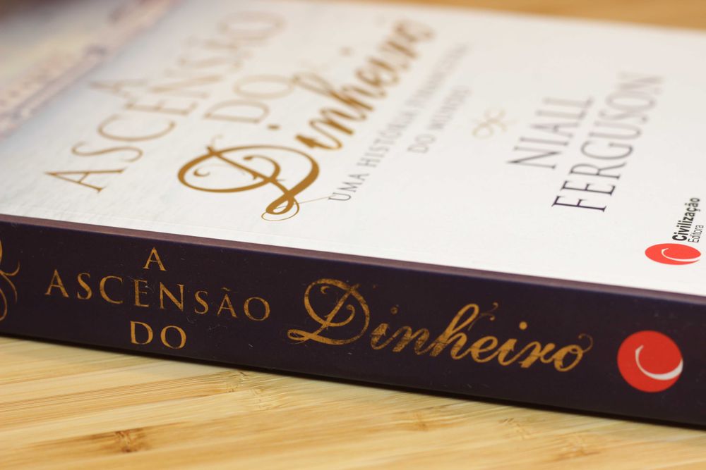 A ASCENSÃO DO DINHEIRO (livro em português)