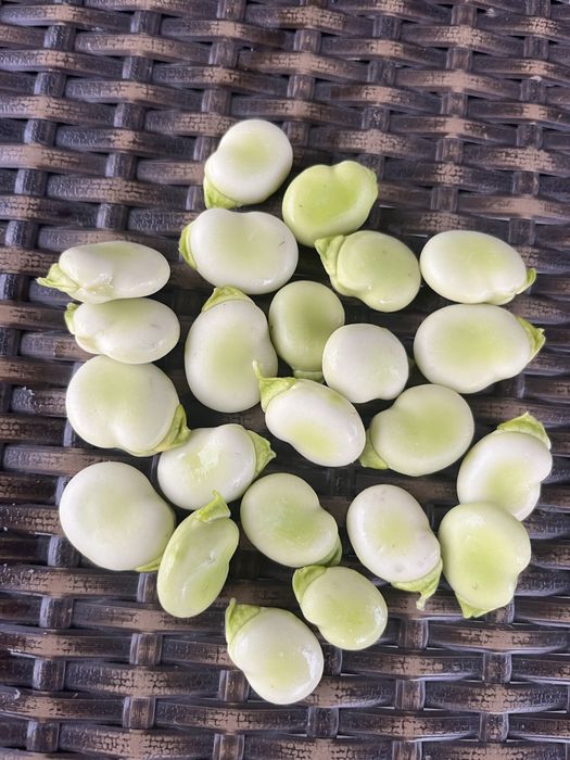 Sprzedam świeży bób 4 kg