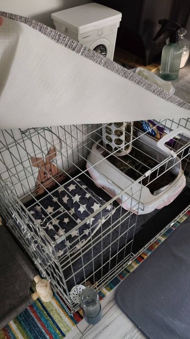 Klatka dla psa krolika