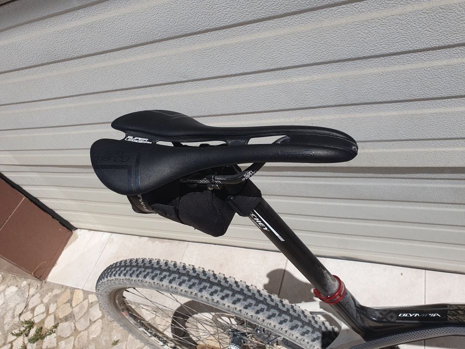 Olympia Iron 29 carbono L