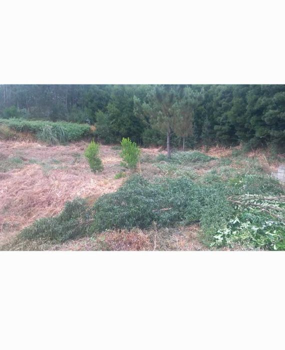 Vendo Terreno para construção