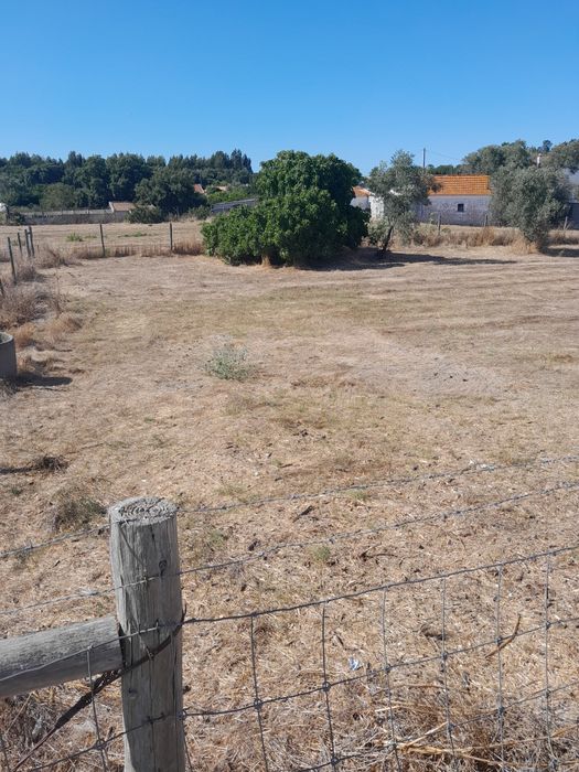 Arrendamento terrenos