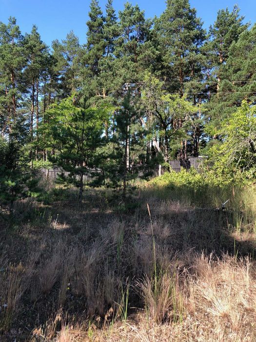 Сухолуччя продам дві земельні ділянки