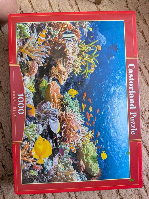 Puzzle 1000 Castroland