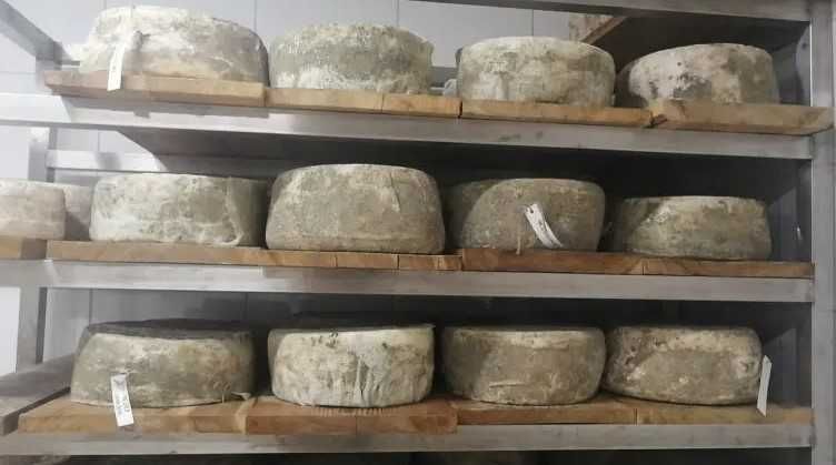 Камера для охолодження і зберігання молочної продукції Житомир