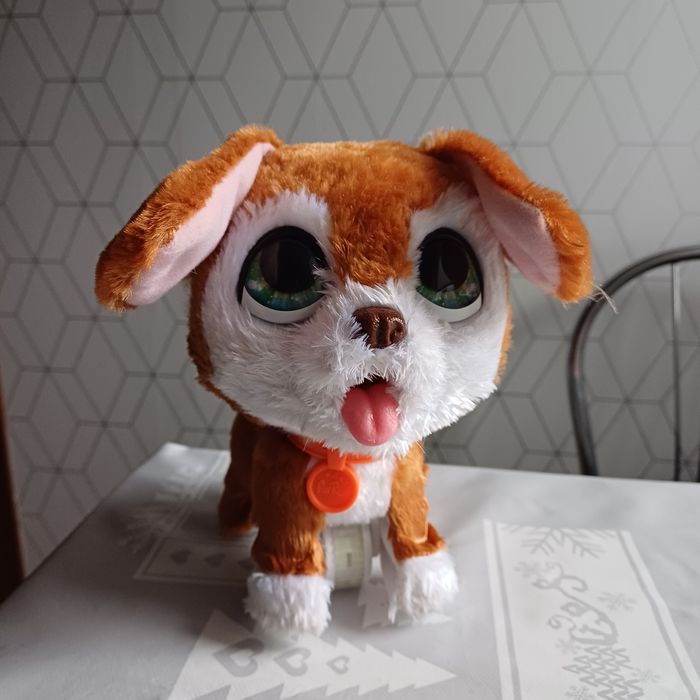 Zabawka piesek na smyczy