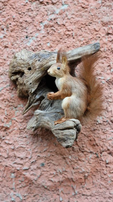 Білочка. Опудало, чучало.