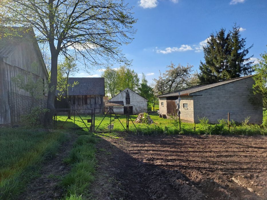 Gospodarstwo rolne z zabudowaniami i lasem 6h