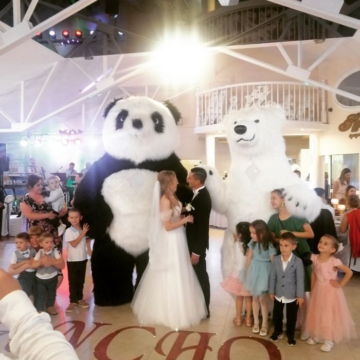 Аніматор білий ведмідь Хепі та великий Панда. Аніматори Коломия