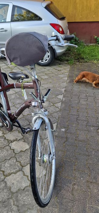 Sparta dla wysokich tęgich zobacz