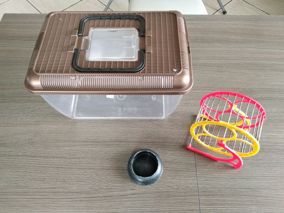 Terrarium przenośne dla gryzoni