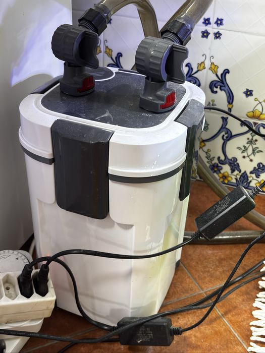 Aquario completo com peixes