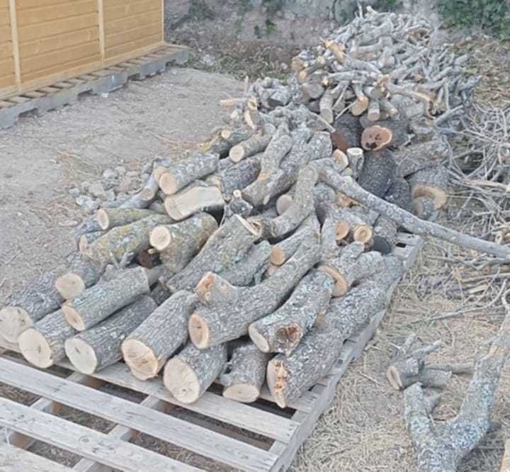 Lenha em sacos de 10/15/20 kg