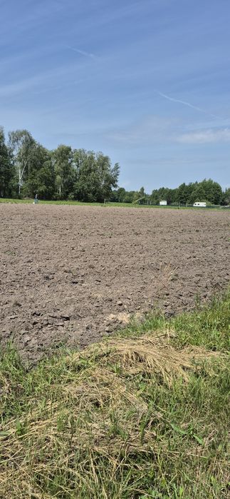 Działka z WZ Kontrewers  gmina Dalików  do negocjacji