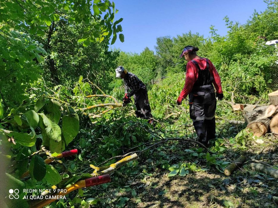 Usługi ogrodnicze. Wycinka, przycinka drzew. Porządkowanie terenów..