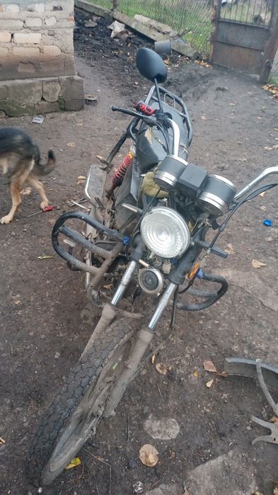 Альфа на повному ходу