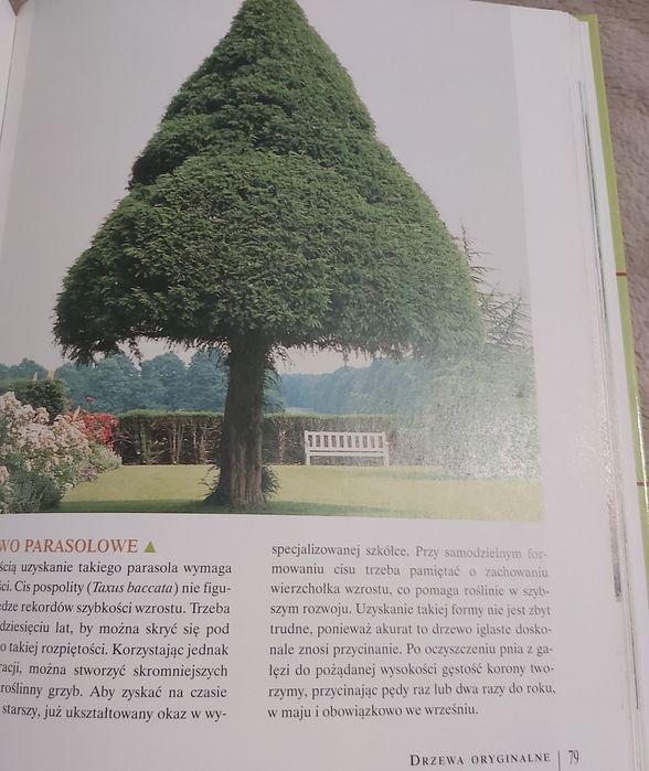 Sprzedam nowa książka-Drzewa w ogrodzie