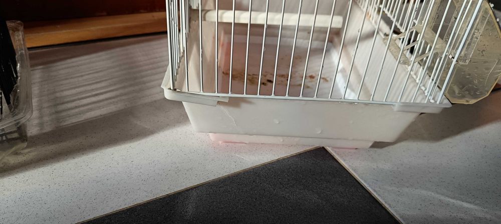 Lot de acecorios para canarios