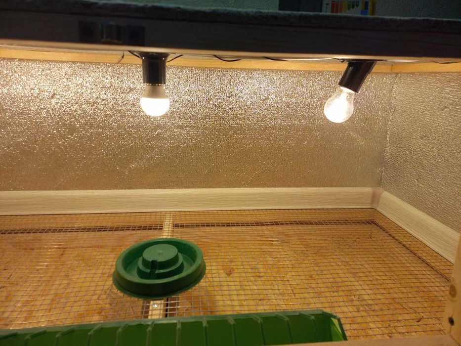 Яслі для птиці(брудер)