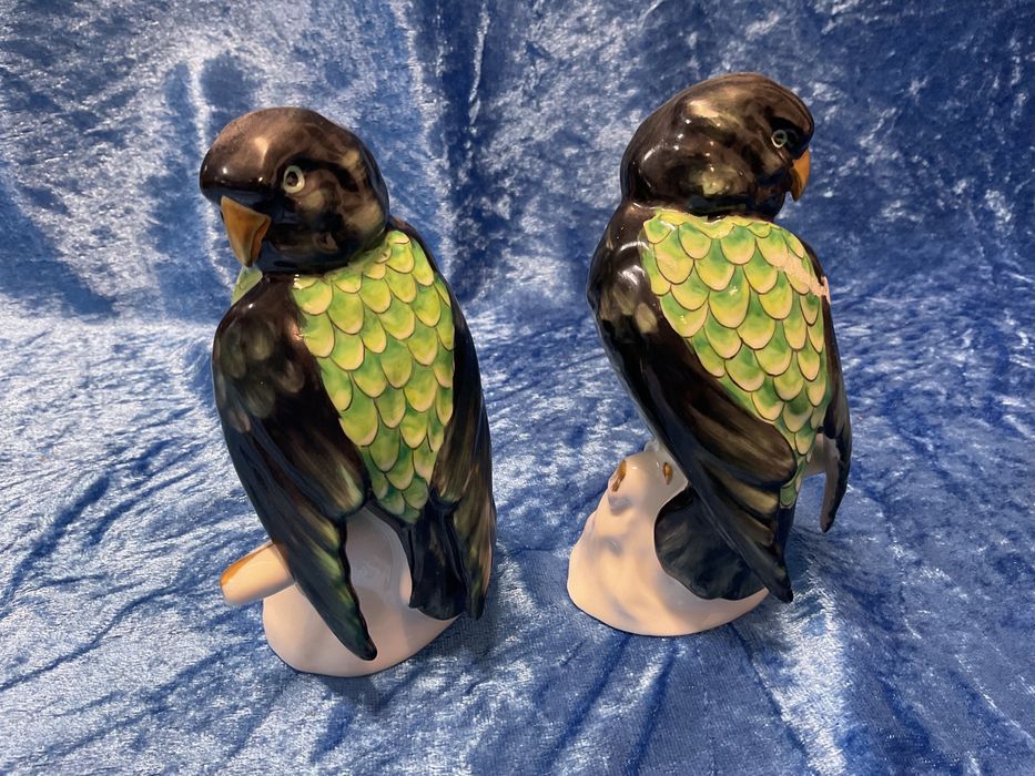 Piriquitos vista alegre Par