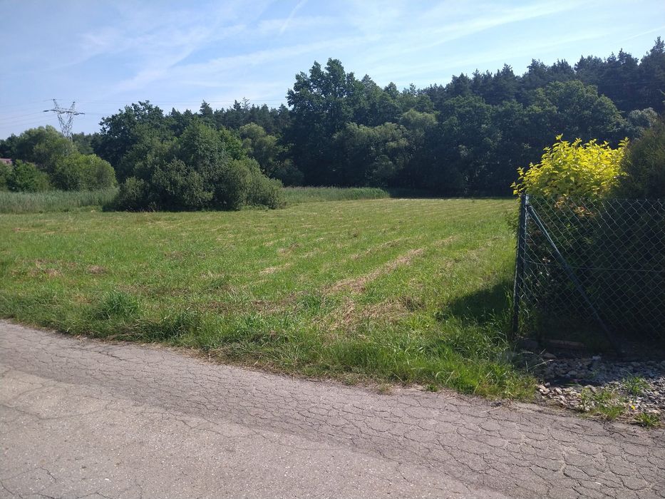 Działka przy lesie 25arów, płaska. Piła Kościelecka
