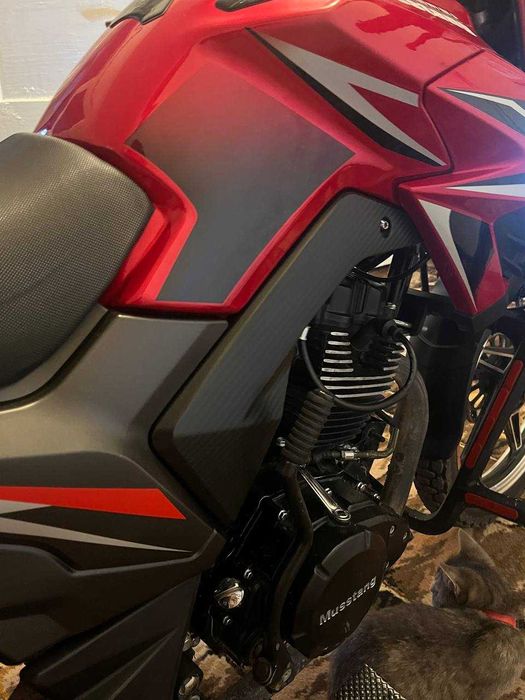 Mustang Fortuna 200,2024 року